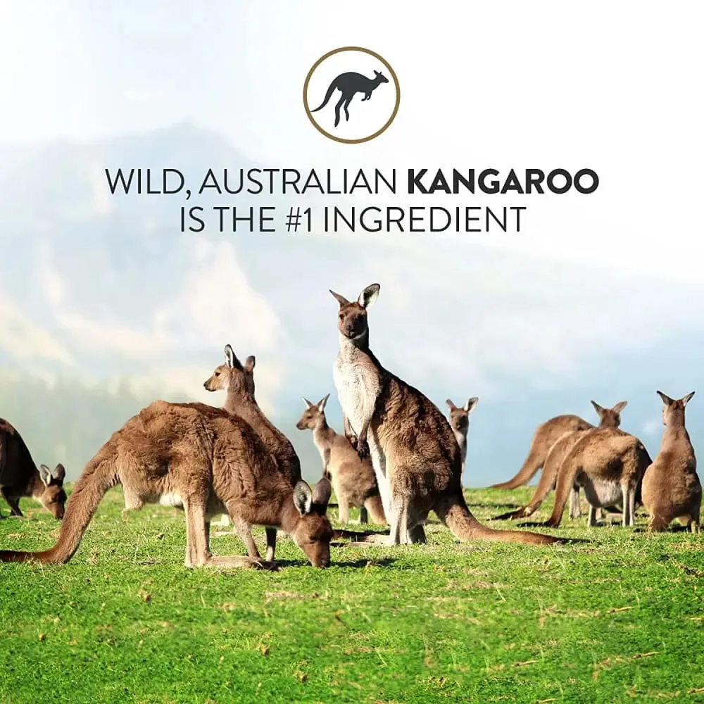 Addiction Outback Kangaroo Feast Raw Alternative Skin and Coat Health Air Dried Dog Food