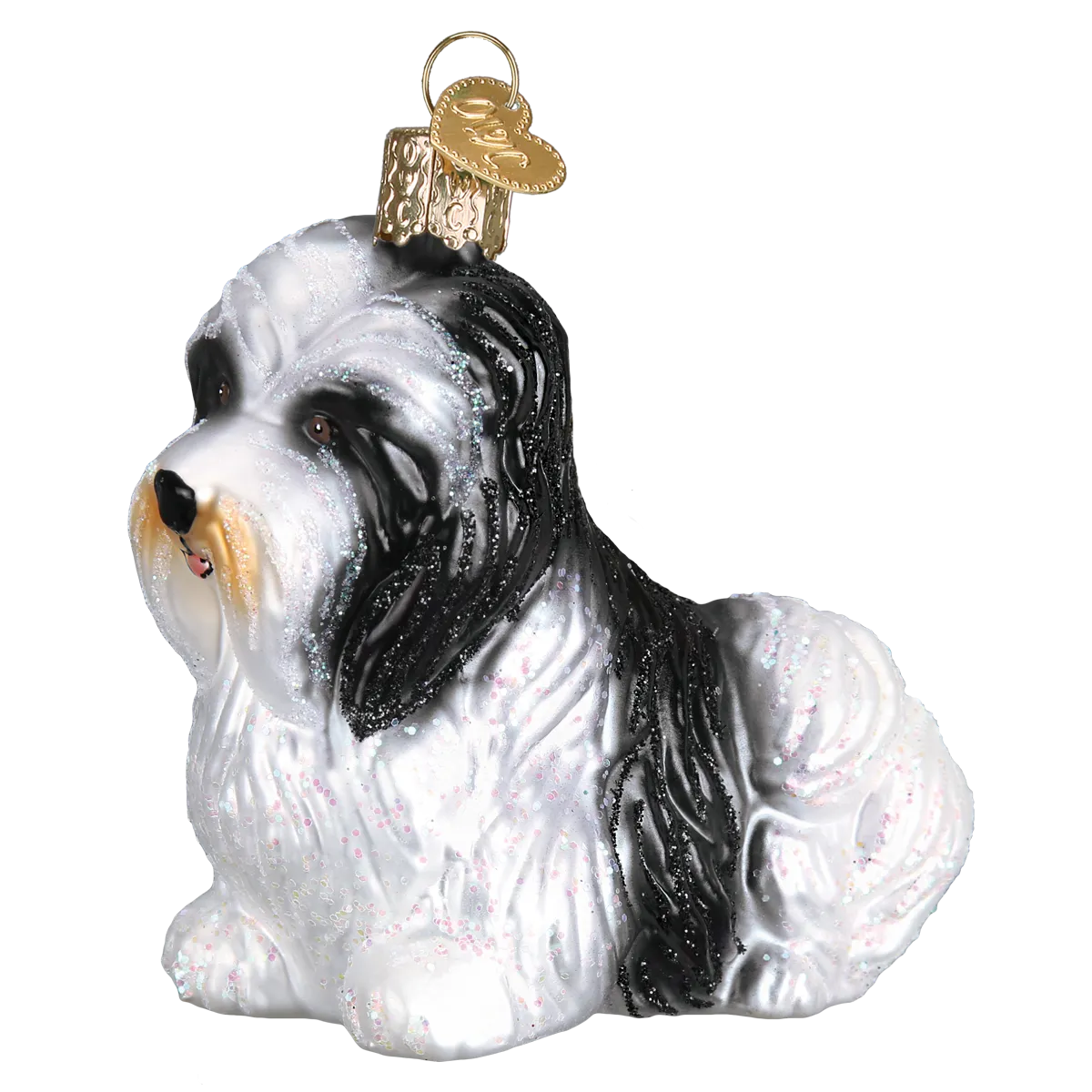 Havanese